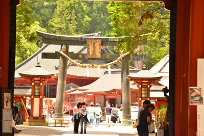 DSC_3833 (Large).JPG